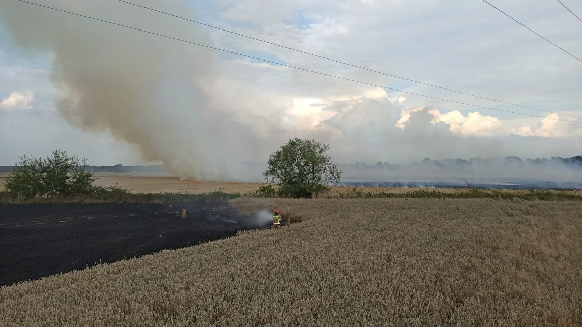 Jaroszów: Masywny pożar pola uprawnego i ścierniska  